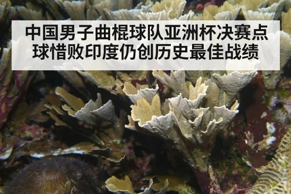 中国男子曲棍球队亚洲杯决赛点球惜败印度仍创历史最佳战绩